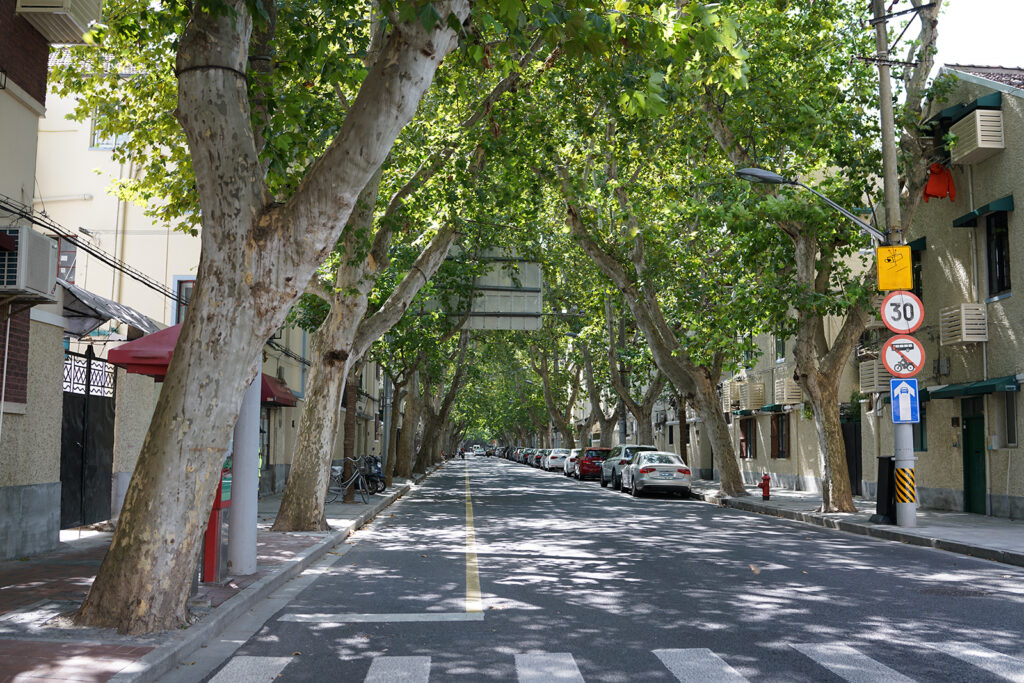 Former French concession