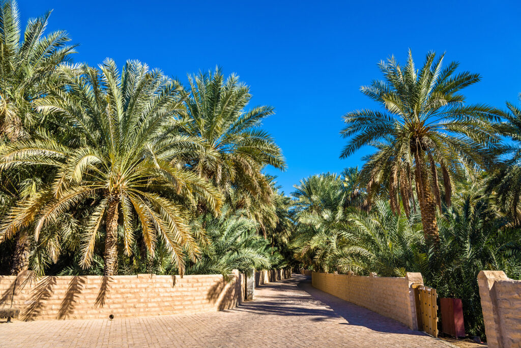 Al Ain, Abu Dhabi (World Heritage)